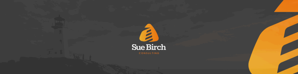 sue birch consulting cover